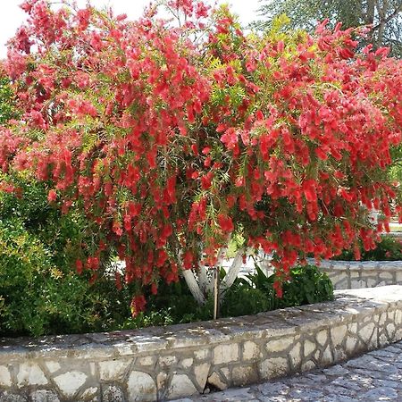Agios Nikolaos  Intos Apartments מראה חיצוני תמונה